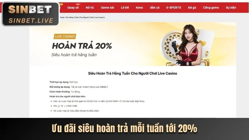 Cấp độ VIP Đồng